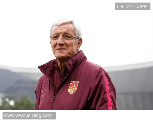 里皮深度剖析足球明星背后的努力与荣耀之路